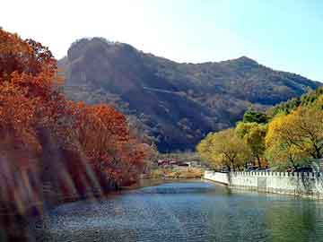 天天彩好彩天天免费，夏河seo软件